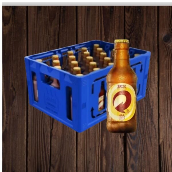 CAIXA SKOL 300 ML